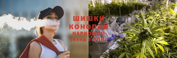 шишки Армянск
