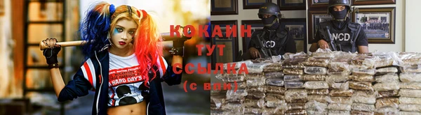 ГАЛЛЮЦИНОГЕННЫЕ ГРИБЫ Аркадак