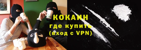 ГАЛЛЮЦИНОГЕННЫЕ ГРИБЫ Аркадак