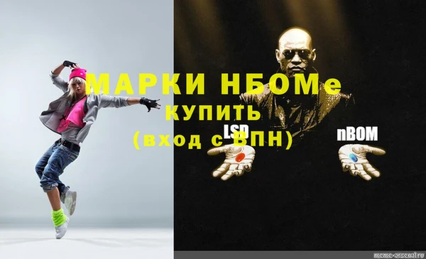 ГАЛЛЮЦИНОГЕННЫЕ ГРИБЫ Аркадак