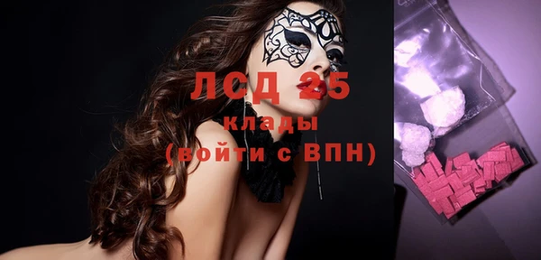 ГАЛЛЮЦИНОГЕННЫЕ ГРИБЫ Аркадак