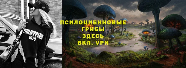 ГАЛЛЮЦИНОГЕННЫЕ ГРИБЫ Арсеньев