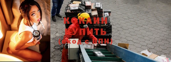шишки Армянск