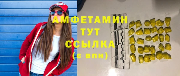 шишки Армянск