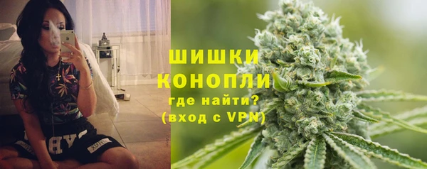 ГАЛЛЮЦИНОГЕННЫЕ ГРИБЫ Арсеньев