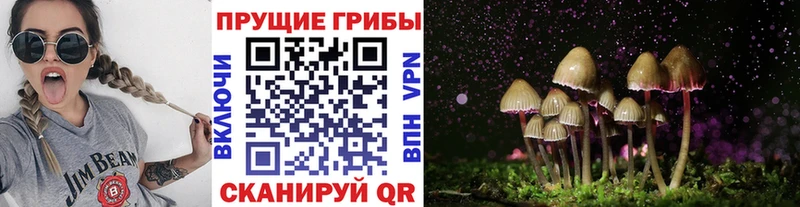 Псилоцибиновые грибы мицелий  Кировск 