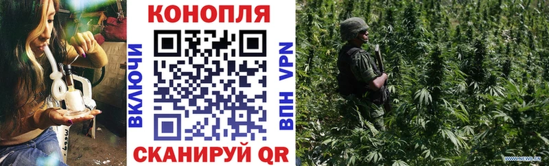 omg как зайти  Кировск  Шишки марихуана конопля  наркошоп 